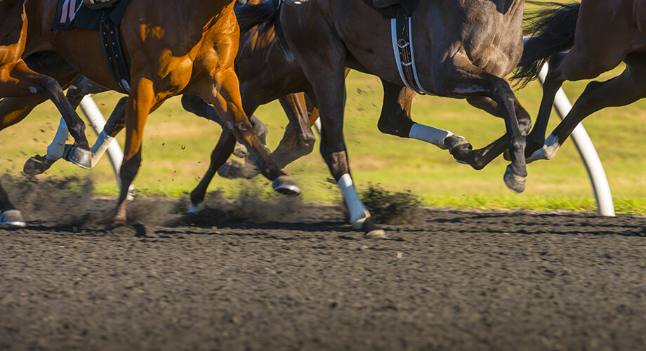 Racebook