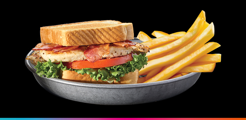 A plate of a chicken sandwich and a side of fries