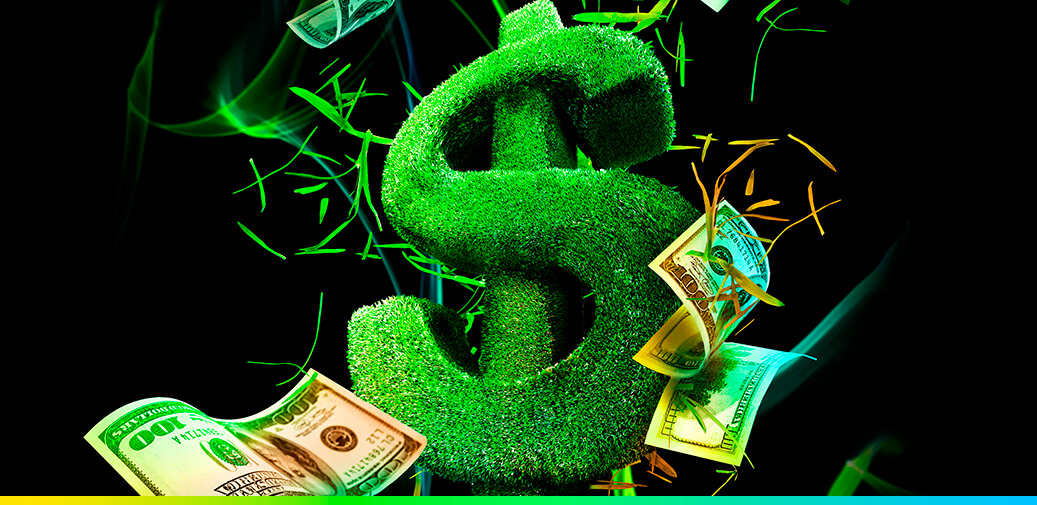 big green grass dollar sign with hundreds flying around
