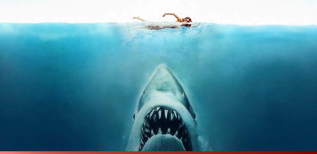 Portrait of a shark swimming up to a person