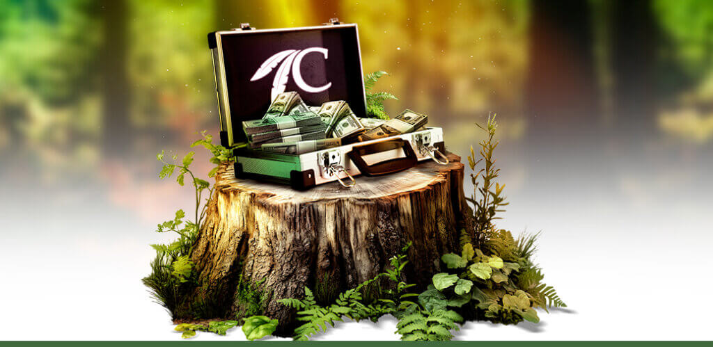 Photo of cash on a tree stump