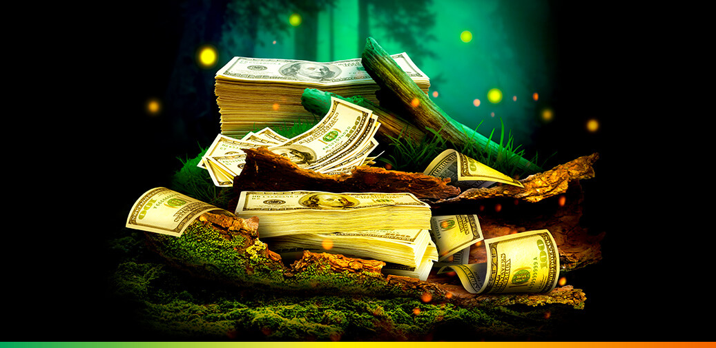 Stacks of 100 hundred dollar bills in a log